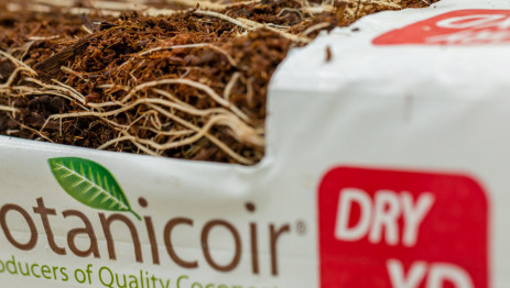 Botanicoir Dry XD product