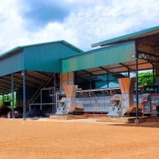 Botanicor’s first of it’s kind mechanical dryer