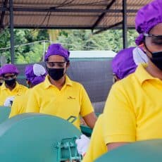 Coconut husk cutting production line