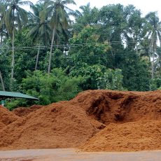 Raw material ready for processing