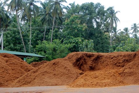 Raw material ready for processing