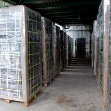 Pallets waiting for collection in the loading bay