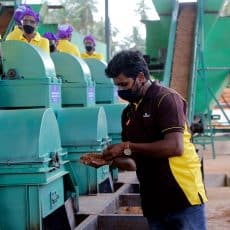 Quality team at the husk cutting line