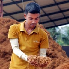 Visual inspection by quality team