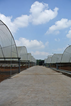 Our growers visit the factory in Sri Lanka March 2013