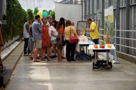 Farm Tangmere Open Farm Sunday