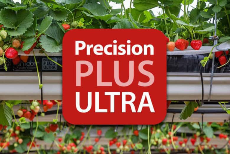 Precision Plus Ultra