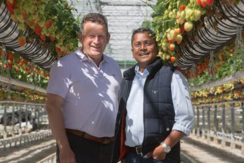 Sandy and Kalum New Forest Fruits Botanicoir - 1