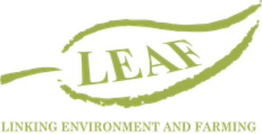 LEAF
